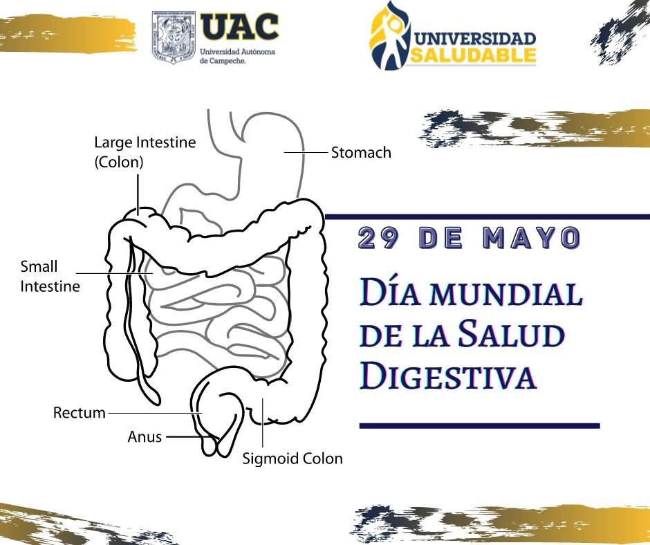 salud digestiva